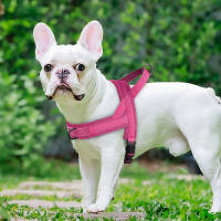 Harnés De Nylon Para Perros Y Gatos Con Colchón Ajustable Suave Para Exterior No Pull Para Bulldog Francés Chihuahua Perro Pupusa Color Negro/Azul/Rosa Tamaños XS/S/M - details 8