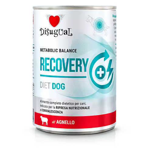 Disugual Perros en recuperación sabor Cordero 400 gr - 1
