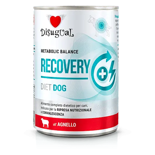 Disugual Perros en recuperación sabor Cordero 400 gr - 1