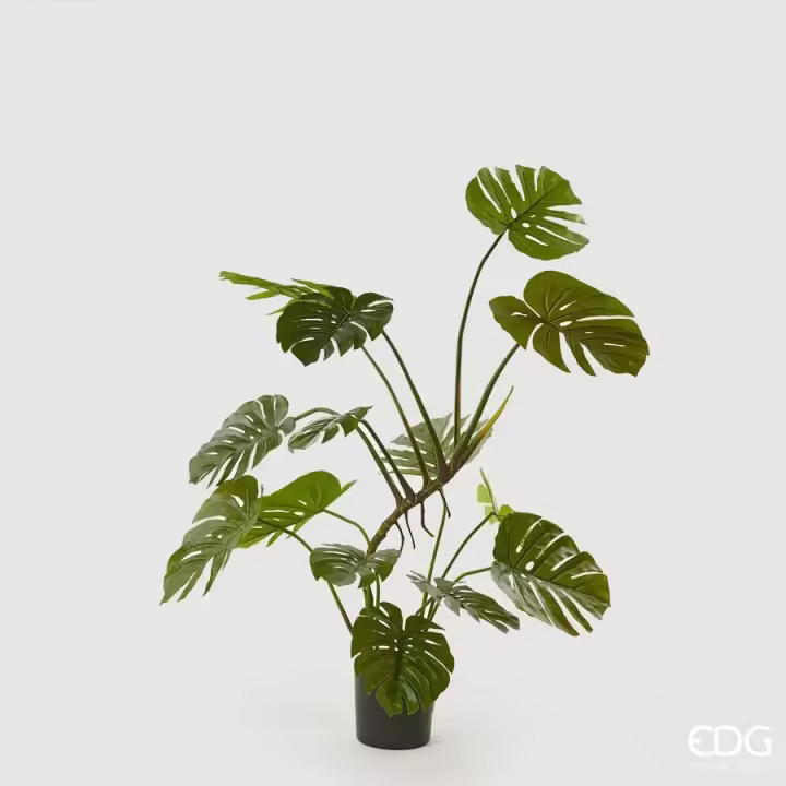 EDG Enzo De Gasperi Monstera Planta con Jarrón Artificial H 128 Cm Verde - 1