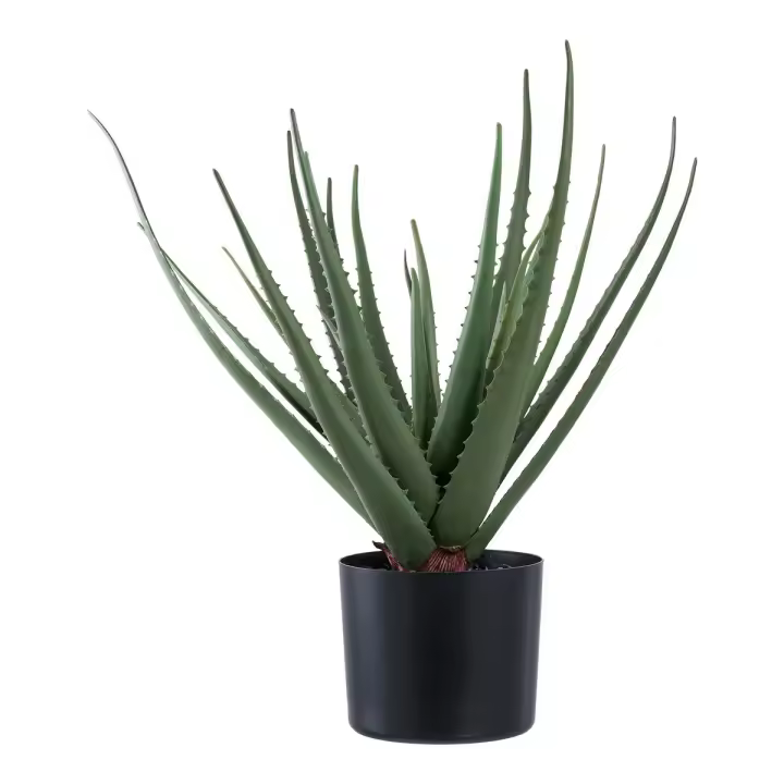 Planta Artificial Aloe, Plástico PE, Verde, 30,5x30,5x51 cm - 1