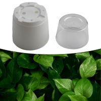 Macetas Autoabastecimiento Self Watering Para Plantas Hidroponía Flowerpot De Suculentas Y Violeta Africana Plástico Para Escritorio - details 1