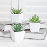 3PCS/6PCS Pelota De Plantas Artificiales Para Pequeños Bonsái DIY Artesanía Decoración Para Escritorio Y Ventanasilleros - details 3