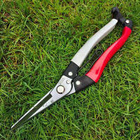 Tijeras De Podar De Acero Al Carbono Para Frutas Y Árboles Herramienta De Corte Para Plantas Bonsái Tijeras Rectas De Jardín - details 2