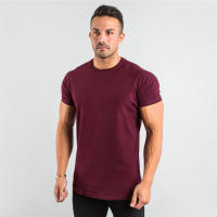 Camiseta De Verano Para Hombre Camiseta Deportiva Fitness Algodón Transpirable Secado Rápido Estilo Delgado Casual Running - details 0