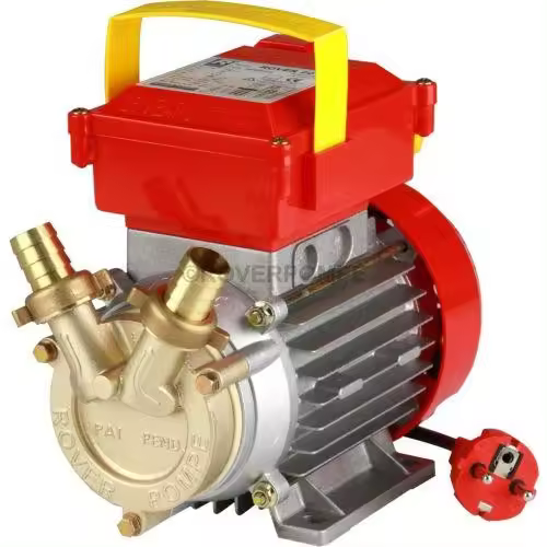Electrobomba CAMPEON de trasiego rover20 CE BEM20 - 1