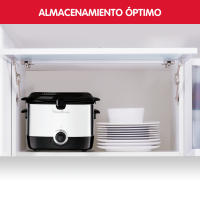 Moulinex AF220010 Freidora, Capacidad 1 l de Aceite, para Unos 600 gr de Comida, Acero Inoxidable, Bol Antiadherente, Filtro Metálico Incluido, Termostato Ajustable, Plástico, Negro, Plateado - details 0