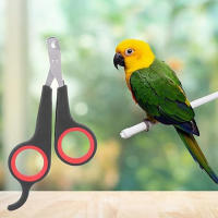 Tijeras De Podar Uñas Para Mascotas Gatos Perros Gerbils Conejos Y Otros Pequeños Animales Herramienta De Grooming Portátil Para El Hogar - details 2