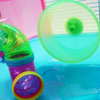 SMELL & SMILE  DZL-286 JAULA 1 PISO PARA HAMSTER 40*26*26CM - details 4