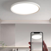 Lámpara De Techo Moderna LED Para Pasillo Baño Dormitorio Material ABS Y Acero Iluminación Diaria Fuente De Luz LED 220V - details 1