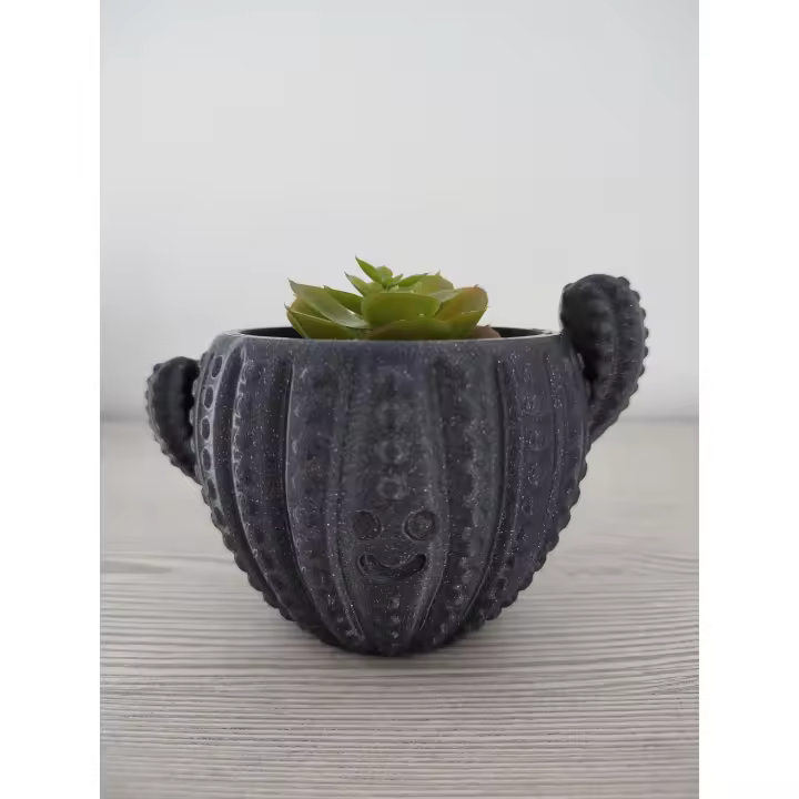 Maceta con forma de cactus feliz - Decoración para el hogar y jardín - 3DRoots - 1