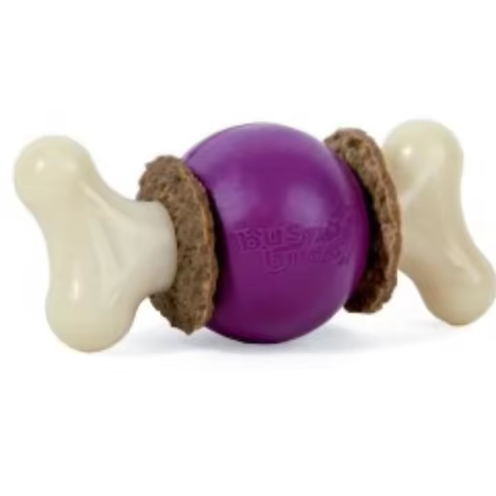 BUSY BUDDY BOUNCY BONE - 1