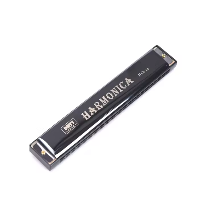 Harmonica Profesional De 24 Agujeros Para Principiantes Instrumento Musical De Metal Organ Blues Harp Harmonium - 1