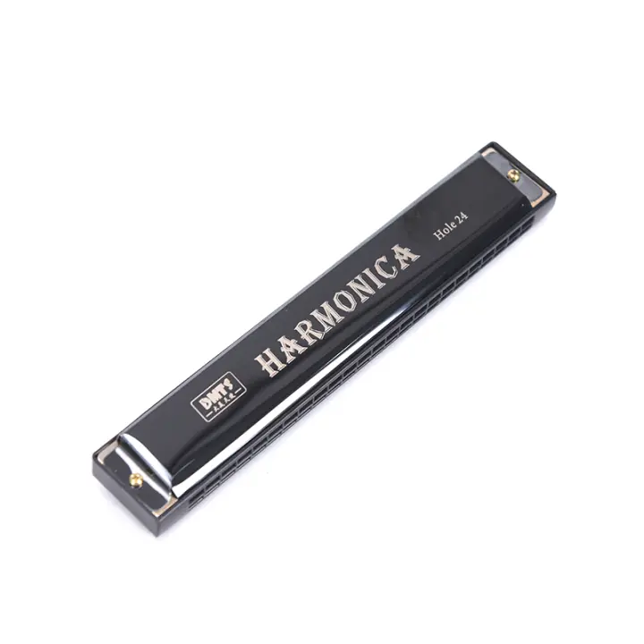 Harmonica Profesional De 24 Agujeros Para Principiantes Instrumento Musical De Metal Organ Blues Harp Harmonium - 1