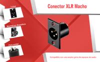 Banner - Conector chasis microfono XLR 3 pin macho