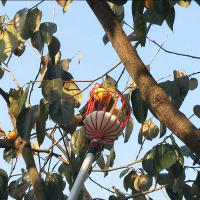 Cesta Profunda Para Jardín Herramienta De Recogida De Frutas Adecuada Para Manzanas Y Duraznos Dispositivo De Recogida En Granjas - details 1