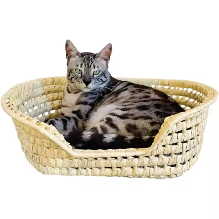 COSHANO Cesta Cama para Gatos y Perros en Palma Trenzada. Cama para Gatos de Mimbre. Fabricado a Mano (48x40x16 Marron) - 1