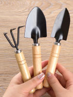 Juego De 3 Herramientas De Jardinería Premium Para Cultivar Verduras Flores Y Suculentas En Macetas Incluye Shovel Rake Y Spade - details 1