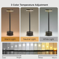 Lámpara De Mesa LED Ajustable Para Regalo Decoración De Hogar Y Camping Luz Nocturna Pequeña Con Material De Aluminio Y Batería Recargable - details 2