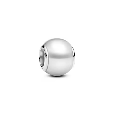Charm Pandora Moments 793781C01 - 1