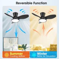 Ventilador de techo silencioso con luz LED, motor de CC, gran volumen de aire de 32 pulgadas, control remoto para cocina, dormitorio, comedor, patio - details 1
