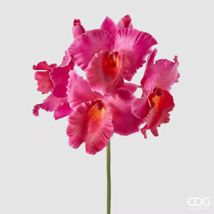EDG Enzo De Gasperi Orchidea Duke Rama X4 y 2 Cauchales Artificiales H 43 Cm Fucsia - 1