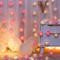 Luces De Flecos De Rosa LED Rosa Para Bodas Fiestas Cumpleaños Festivales Decoración Interior Exterior Valentin's Day - details 1