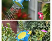 Boquilla De Riego Automática 2 En 1 Para Suculentas Y Jardín Herramienta De Irrigación Para Botella De Bebida Y Flor De Girasol - details 1