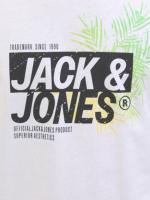 Jack & Jones SS25 Hombre Pack 2 Camisetas de Algodón Mod JJjaxon TEE CREW logo estampado Moda Casual Informal REF 269390 - details 4