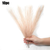 10Pcs Bouquet De Pampas Artificial Para Decoración De Casamiento Fiesta Hogar Dormitorio Flores Silken Reemplazo De Plantas Verdaderas - details 9