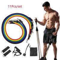 Set De 11 Pzas De Bandas Elásticas De Resistencia Para Ejercicios De Fuerza Y Terapia Física 100LB Tuberías Expansoras De Goma Para Gimnasio Y Entrenamiento - details 0