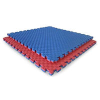 Tatami Puzzle EVA Rojo-Azul | Duradero Antideslizante Absorbe Impactos - details 1