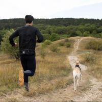 Cinturón de Trail running - Non-stop dogwear Trail light Belt - details 2