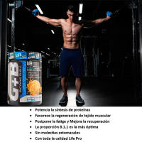 LIFE PRO NUTRITION BCAA + GLUTAMINA 300G - Proporción Óptima 8.1.1 - Favorece el Desarrollo y Retrasa la Fatiga Muscular - details 2