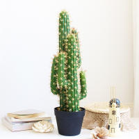 Gran Suculentas Artificiales De Espina De Desierto Para Decoración Del Hogar 30/43cm Planta Falsa De Cactus Para Interiores Sin Mantenimiento - details 0