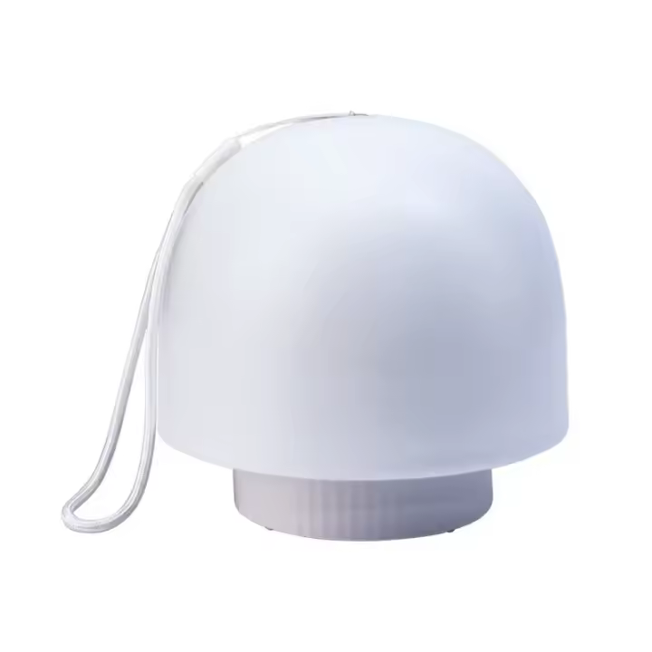 Lámpara De Noche LED Portátil Con Control Remoto Y Luz Dimmable Para Dormitorio Lámpara De Escritorio Para Lectura Y Decoración De Ambiente - 1