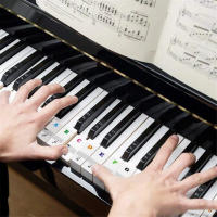 Pegatinas De Teclado De Piano Para 37 49 54 61 88 Teclas Blancas Y Negras Etiquetas Musicales Para Teclado Electrónico - details 5