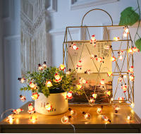 Guirnalda De Navidad LED 20Leds 2M Luz De Hadas Para Jardín Fiesta Árbol De Navidad Sala De Estar Decoración De Año Nuevo Control Remoto No Incluido - details 3