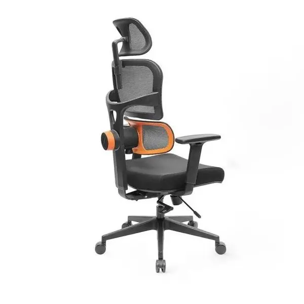 Silla Ergonómica NEWTRAL MagicH-BP con Reposapiés, Respaldo Auto-Seguido, Soporte Lumbar Adaptativo, Reposabrazos 4D, Reposapiés Plegable, Es adecuada para el trabajo desde casa - 1