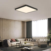 Luz De Techo LED Ultrafina 2.4CM 18W 24W 36W 48W AC85-265V Para Decoración Interior De Hogar Habitación Dormitorio Sala De Estar Cocina Control Remoto Infinitamente Dimmable - details 13