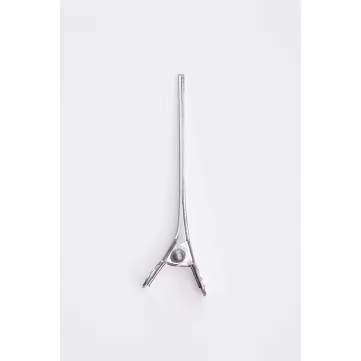 Xanitalia pro pinza metalica 5 5 cm. x144, pinzas 5,5cm - pack 144 pcs Belleza y cuidado de tu cabello y tu piel con Xanitalia Pro. - 1