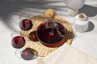 Vacu Vin Decantador de vino ( cristal), estuche - details 2