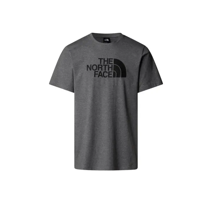 Camiseta Hombre The North Face Easy Gris - 1