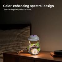 Terrario De Vidrio Para Plantas Con Luz De Crecimiento Micro Paisaje De Mojarra Y Suculentas Vaso De Decoración Para El Hogar - details 3