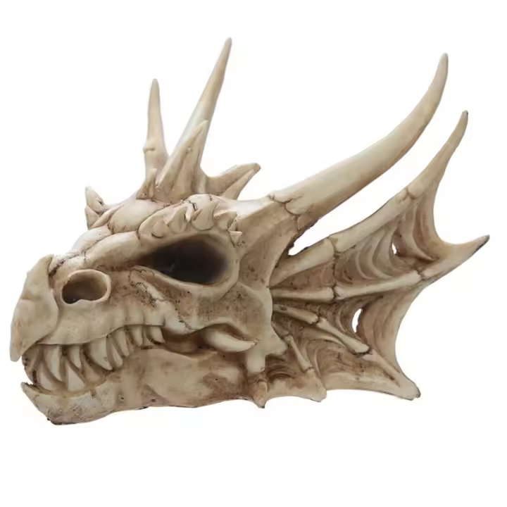 Calavera Dragón Decorativo, Calavera tamaño grande para decoración del hogar - 1