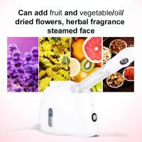 K33S Humidificador De Cara Nano Dual Uso Caliente Y Fría Máquina De Hierbas Chinas Para Spa En Casa Equipo De Belleza Profesional - details 4
