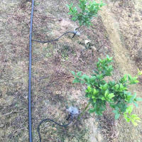 Sistema De Riego Por Derrame Automático Para Plantas Y Flores Jardín Interior Kit De Agregadores De Agua Ajustables 10-100 Piezas - details 2