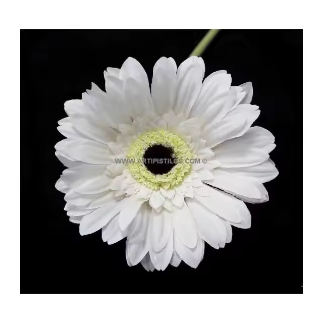 Gerbera Vintage Tela Offwhite 12x4cm - Raíz Flores - 1