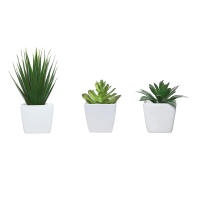 Set De 3 Plantas Miniatura En Macetas Simuladas Para Decoración De Hogares Restaurante Mesas Ventanas Y Estantes Material Plástico Estilo Bonsái - details 24