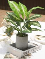 Pequeñas Plantas Artificiales En Maceta Para Decoración De Escritorio De Oficina Baño Hogar Estilo Bonsái Material Plástico - details 3